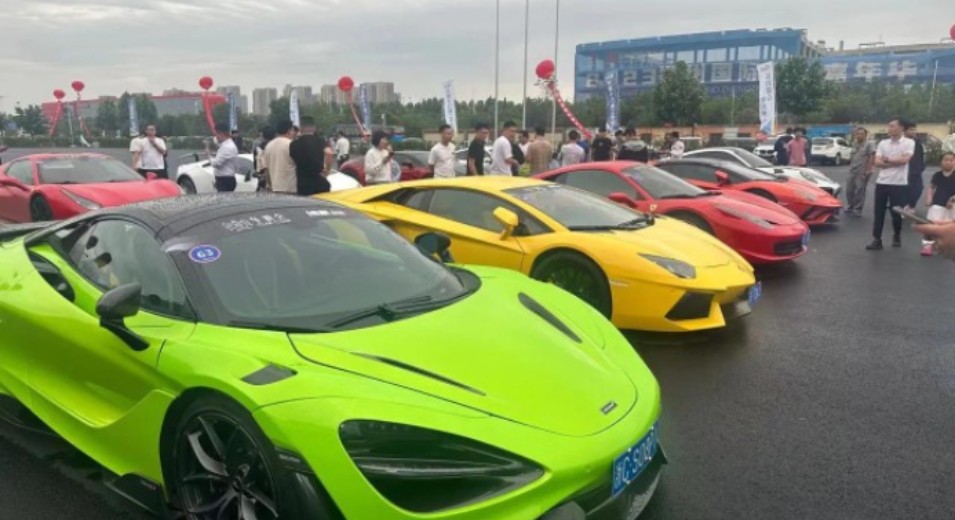 国际赛车嘉年华参赛选手盛赞黄河大鲤鱼
