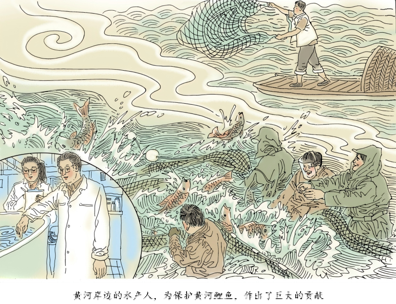 鲤鱼研究(1)