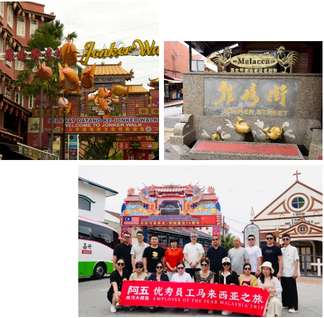 微信截图_20241111185305